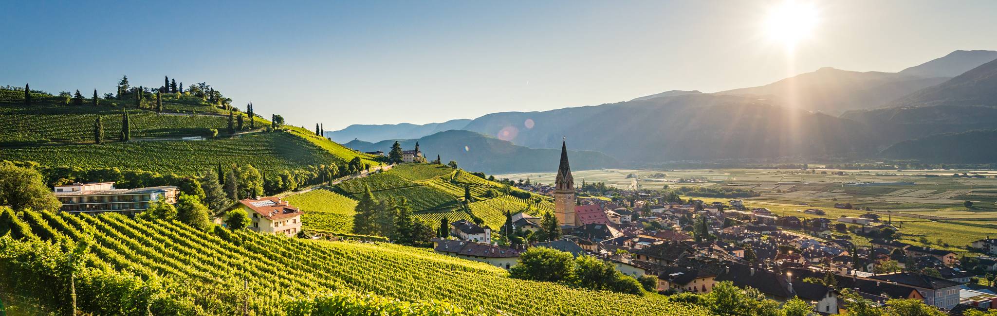 20140817072742-_DSC9955-2